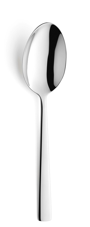 amefa-slalepel-1923-moderno-23-5-cm-18-10-zilver-1-stuk_