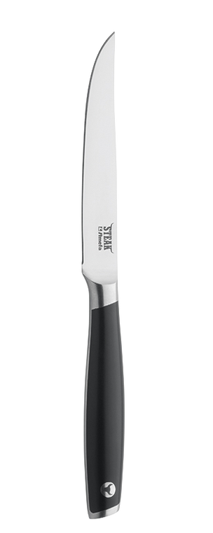 amefa-steakmes-7060-tender-lion-24-7-cm-kunststof-rvs-1-stuk_