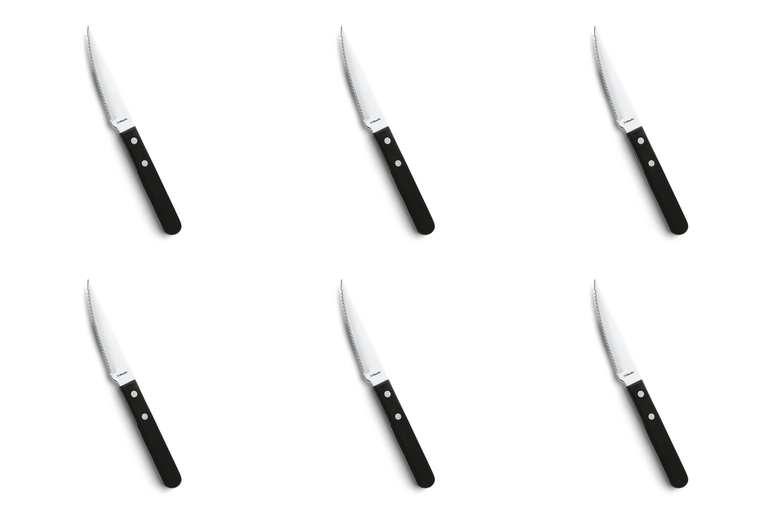 amefa-steakmes-7000-steak-21-cm-kunststof-rvs-13-0-6-stuks_