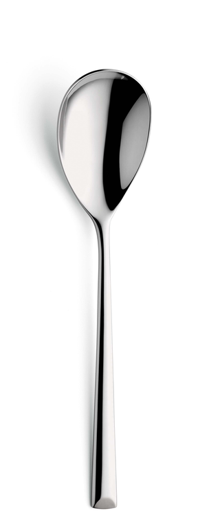 amefa-premiere-slalepel-1170-metropole-22-5-cm-18-10-zilver-1-stuks_