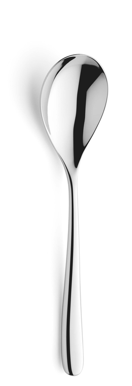 amefa-premiere-groentelepel-8090-newton-22-7-cm-18-10-zilver-1-stuk_