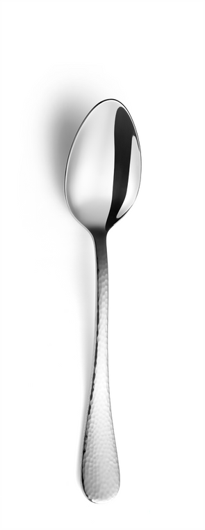 amefa-dessertlepel-8051-sierra-18-5-cm-18-10-zilver-1-stuk_